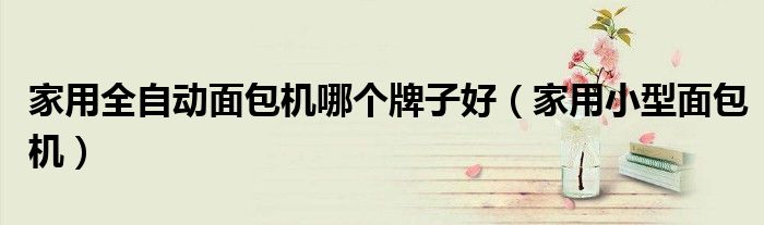 家用全自動面包機哪個牌子好（家用小型面包機）