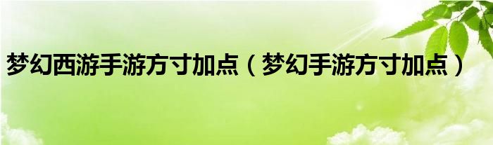夢(mèng)幻西游手游方寸加點(diǎn)（夢(mèng)幻手游方寸加點(diǎn)）
