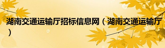 湖南交通運(yùn)輸廳招標(biāo)信息網(wǎng)（湖南交通運(yùn)輸廳）