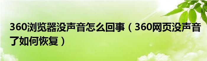 360瀏覽器沒聲音怎么回事（360網(wǎng)頁沒聲音了如何恢復(fù)）