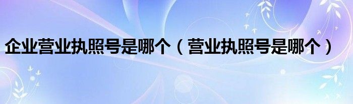 企業(yè)營業(yè)執(zhí)照號是哪個（營業(yè)執(zhí)照號是哪個）