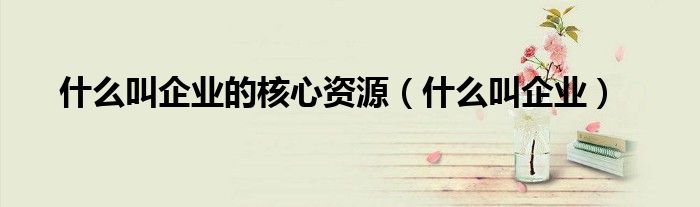 什么叫企業(yè)的核心資源（什么叫企業(yè)）