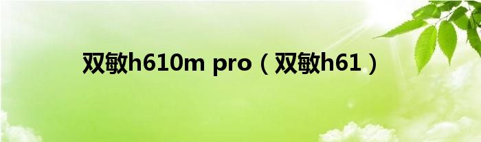 雙敏h610m pro（雙敏h61）