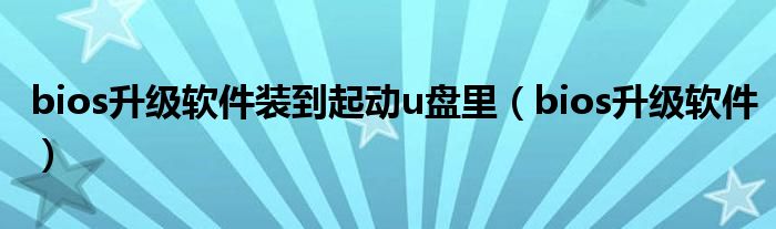bios升級軟件裝到起動u盤里（bios升級軟件）