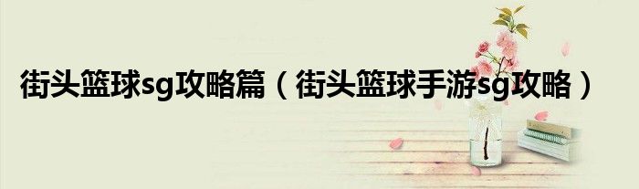 街頭籃球sg攻略篇（街頭籃球手游sg攻略）