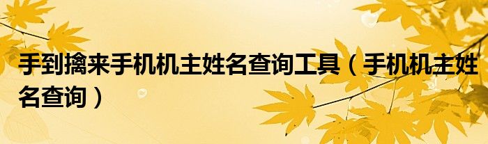 手到擒來手機(jī)機(jī)主姓名查詢工具（手機(jī)機(jī)主姓名查詢）