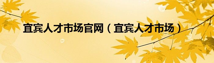 宜賓人才市場官網(wǎng)（宜賓人才市場）