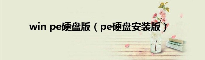 win pe硬盤版（pe硬盤安裝版）