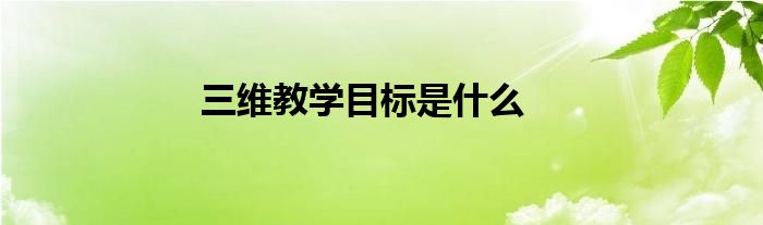三維教學(xué)目標是什么