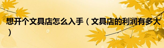 想開(kāi)個(gè)文具店怎么入手（文具店的利潤(rùn)有多大）