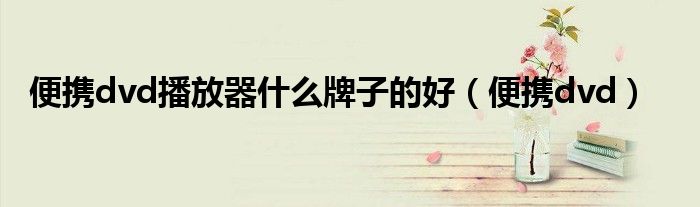 便攜dvd播放器什么牌子的好（便攜dvd）