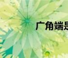 廣角端是什么意思（廣角端）