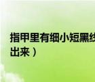 指甲里有細小短黑線會隨著指甲長出來（指甲長肉里怎么弄出來）