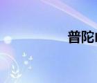 普陀山攻略自由行路線