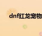 dnf紅龍寵物（dnf寵物狂戰(zhàn)赤血龍女）