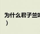 為什么君子蘭葉子發(fā)黃（君子蘭葉子發(fā)黃腐爛）