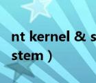 nt kernel & system藍(lán)屏（nt authority system）