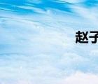 趙子龍單騎救主概括