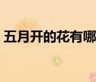 五月開的花有哪些品種（五月開的花有哪些）