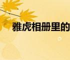 雅虎相冊里的照片如何找回（雅虎相冊）