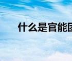 什么是官能團等活性（什么是官能團）