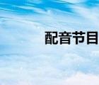 配音節(jié)目聲情并茂（配音節(jié)目）