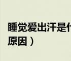 睡覺愛出汗是什么原因（女人睡覺出汗是什么原因）