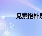 見素抱樸是什么意思（見素抱樸）
