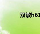 雙敏h610m pro（雙敏h61）