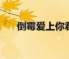 倒霉愛上你君家男主角（倒霉愛上你）