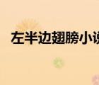 左半邊翅膀小說簡介（左半邊翅膀饒雪漫）