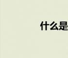什么是質(zhì)數(shù)（什么是質(zhì)數(shù)）