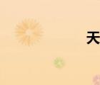 天鏡足?。ㄌ扃R）