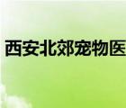 西安北郊寵物醫(yī)院推薦（西安北郊寵物醫(yī)院）