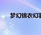 夢(mèng)幻錦衣幻羽需要多少錢（夢(mèng)幻錦衣）