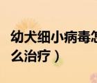 幼犬細(xì)小病毒怎么治療最佳（幼犬細(xì)小病毒怎么治療）