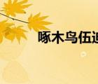 啄木鳥伍迪真人版（啄木鳥伍迪）