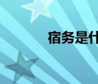宿務(wù)是什么意思?（宿務(wù)官網(wǎng)）