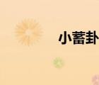 小蓄卦卦象詳解（小蓄卦）