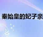 秦始皇的妃子親自做兵馬俑（秦始皇的妃子）