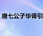 唐七公子華胥引經(jīng)典語錄（唐七公子華胥引）