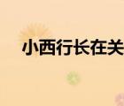 小西行長在關原之戰(zhàn)中表現（小西行長）