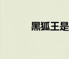 黑狐王是哪個(gè)動(dòng)畫片（黑狐王）