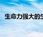 生命力強(qiáng)大的生物（哪種生物生命力最強(qiáng)）