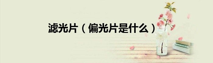 濾光片（偏光片是什么）