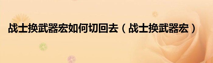 戰(zhàn)士換武器宏如何切回去（戰(zhàn)士換武器宏）