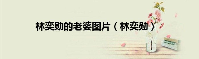 林奕勛的老婆圖片（林奕勛）