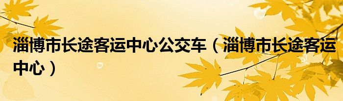 淄博市長途客運(yùn)中心公交車（淄博市長途客運(yùn)中心）