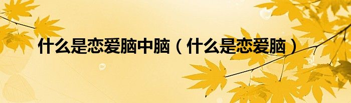 什么是戀愛腦中腦（什么是戀愛腦）