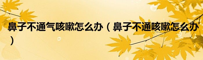 鼻子不通氣咳嗽怎么辦（鼻子不通咳嗽怎么辦）